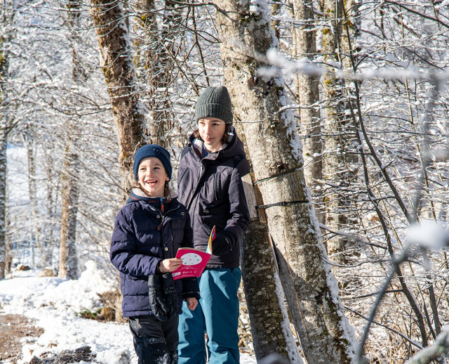 Animations, activit&eacute;s & jeux d'aventures