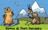 marmotte-mont-sax-58667
