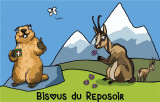 marmotte-reposoir-58663