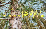 visuel-entresenssciencesetpoesie-41693