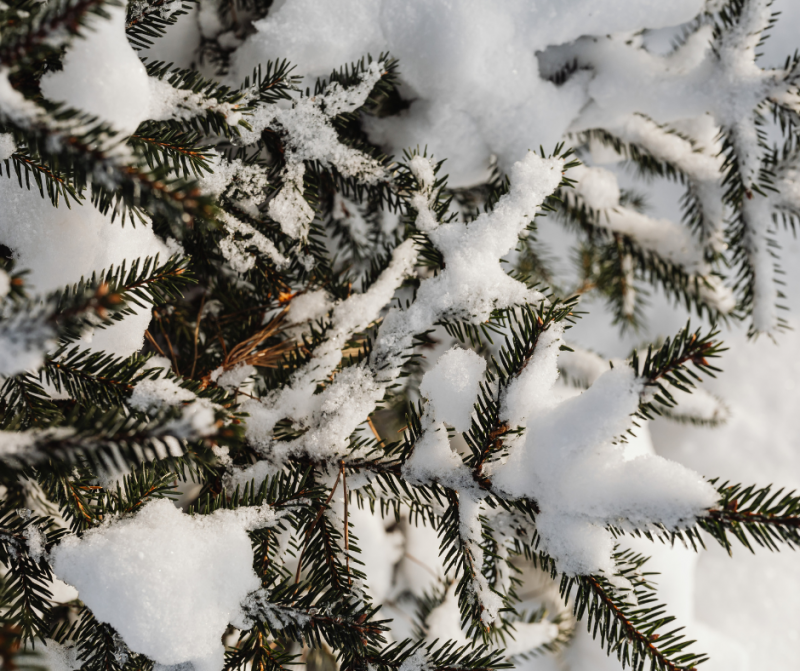 posts-fb-2-59115 posts-fb-2-59115